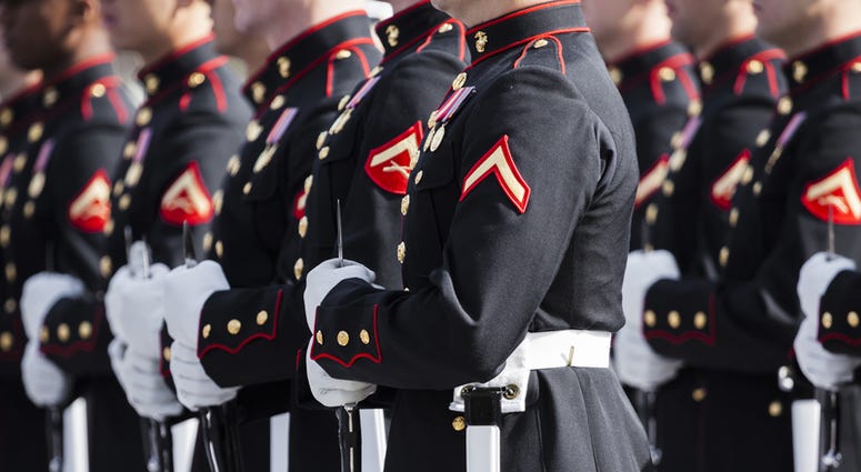 Marines (Dreamstime)