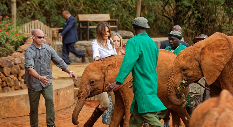 A Secret Service agent, left, steps forward to protect U.S. first lady Melania Trump as she steps backwards after being nudged by a baby elephant she petted, at the David Sheldrick Wildlife Trust elephant orphanage in Nairobi, Kenya Friday, Oct. 5, 2018.