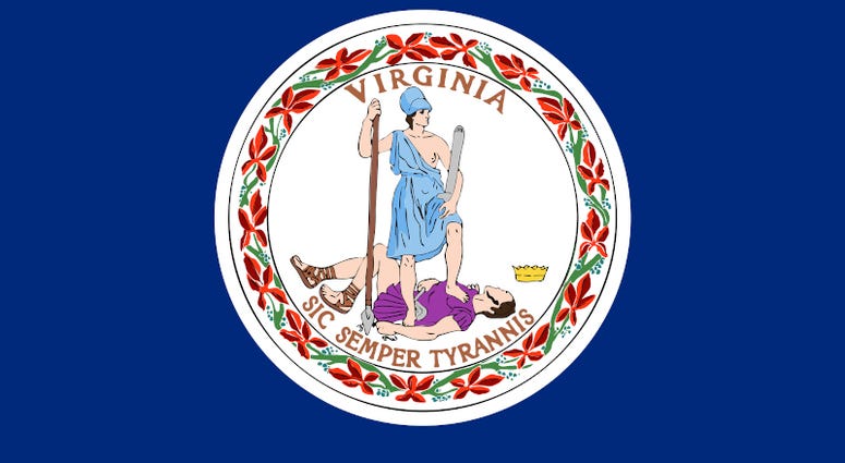 Flag of the USA State of Virginia, vector