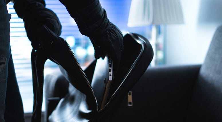Virginia police investigate after home-invasion robbery. (Dreamstime) Virginia police investigate after home-invasion robbery. (Dreamstime)