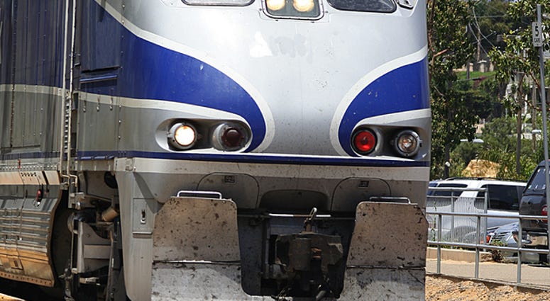 Amtrak Train (Dreamstime)
