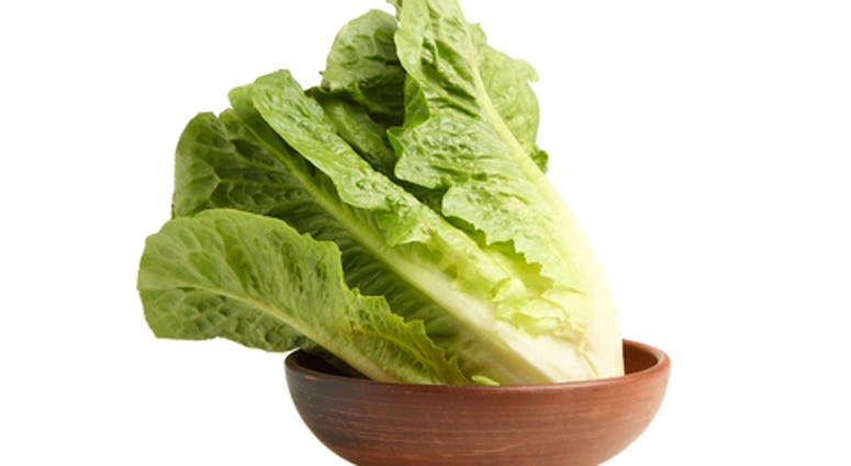 Green lettuce romaine in a bowl