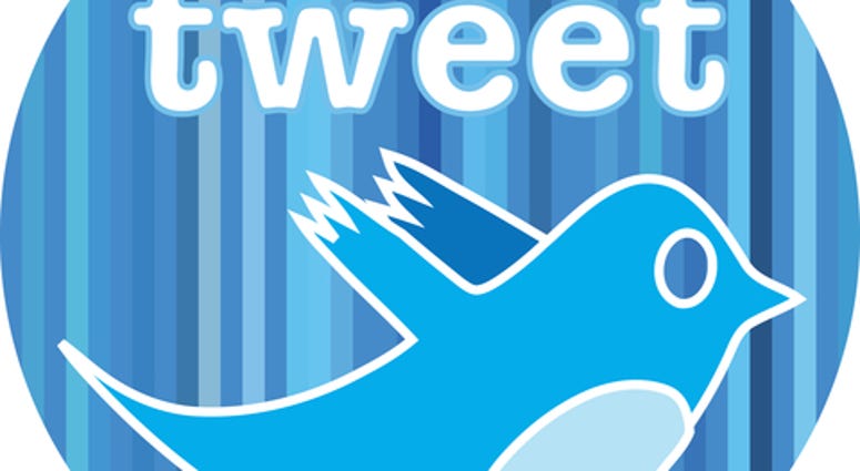 Blue Twitter; isolated on white background.