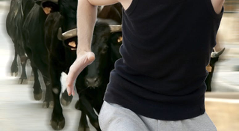 A man running away from the bulls in a bull running fiesta in Spain