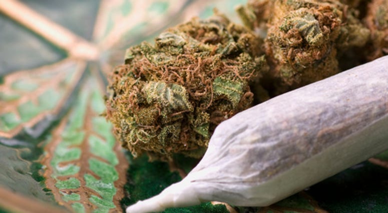 Closeup of dried marijuana and handmade cigarette in ashtray