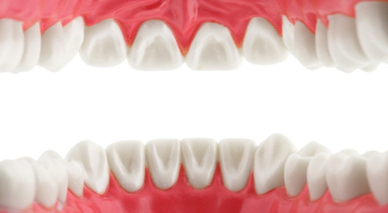 Teeth, view from mouth,