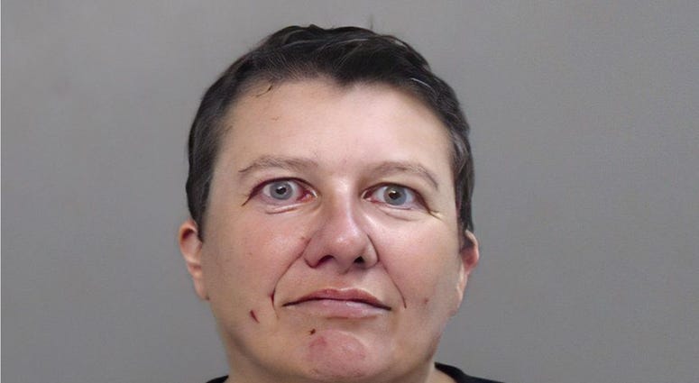 This photo provided by the Hidalgo County (Texas) Sheriff's Office, showing the booking photo of Pascale Ferrier.
