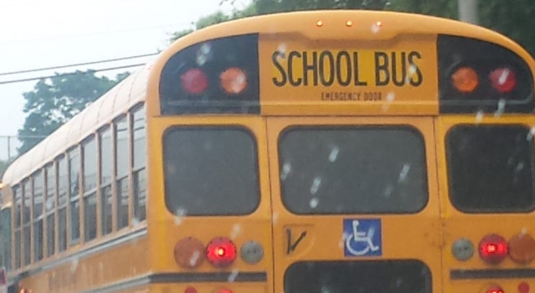 School Bus School Bus