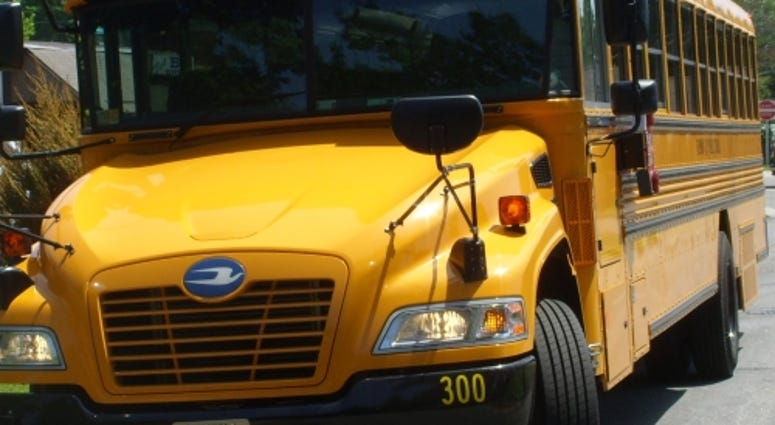 School Bus school bus