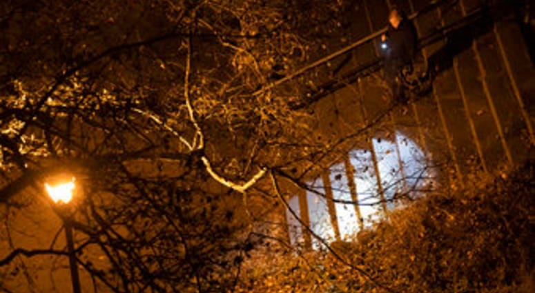 A New York City police department detective use a flashlight to look for evidence in Morningside Park, Thursday, Dec. 12, 2019, in the Upper West Side of Manhattan. (AP Photo/Mary Altaffer) A New York City police department detective use a flashlight to look for evidence in Morningside Park, Thursday, Dec. 12, 2019, in the Upper West Side of Manhattan. (AP Photo/Mary Altaffer)
