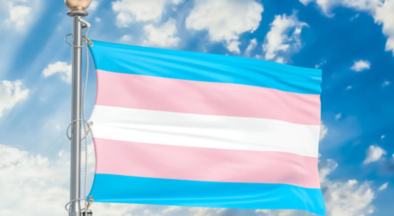 Transgender flag waving in blue cloudy sky