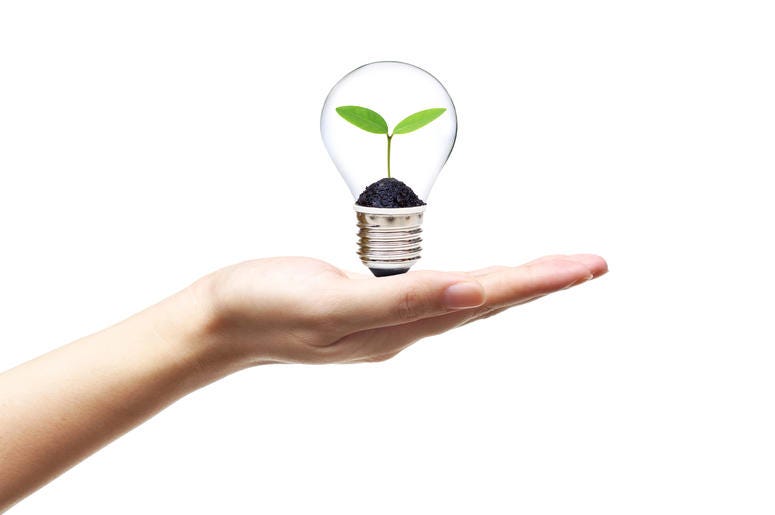 light bulb light bulb