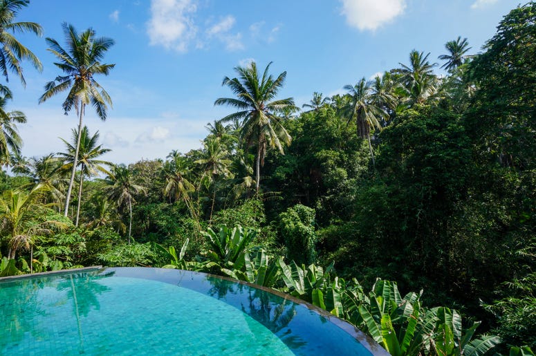 Beautiful pool with junge views in Ubud, Bali Beautiful pool with junge views in Ubud, Bali