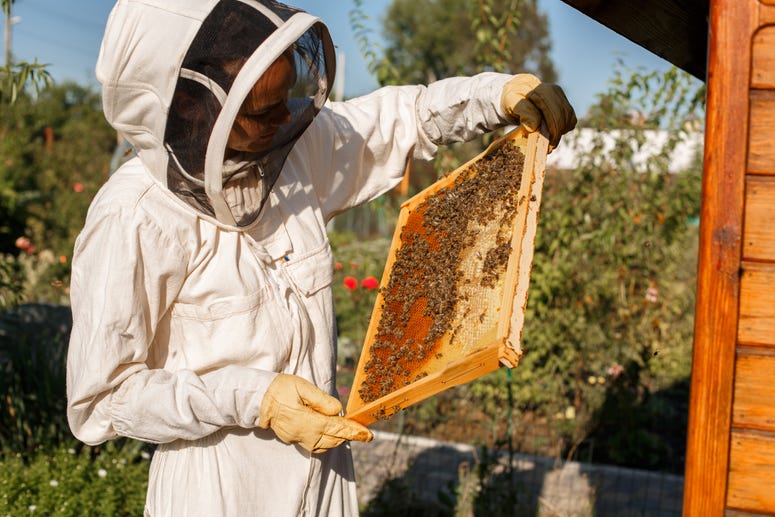 beekeeper