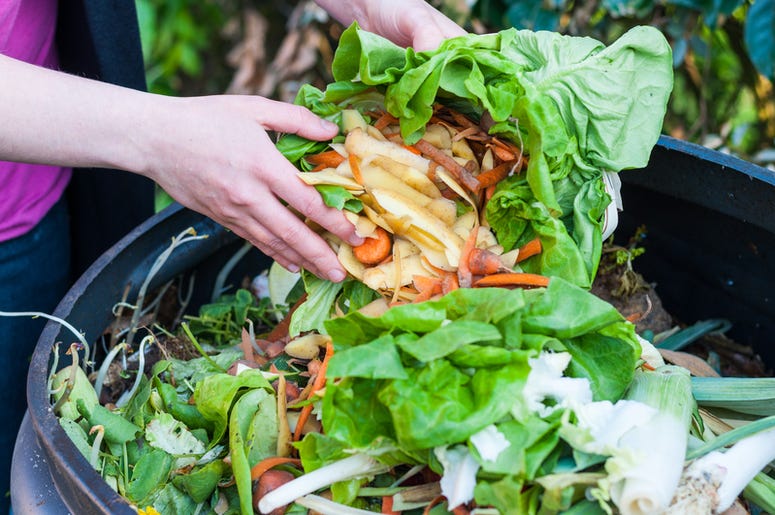 composting your kitchen waste composting your kitchen waste