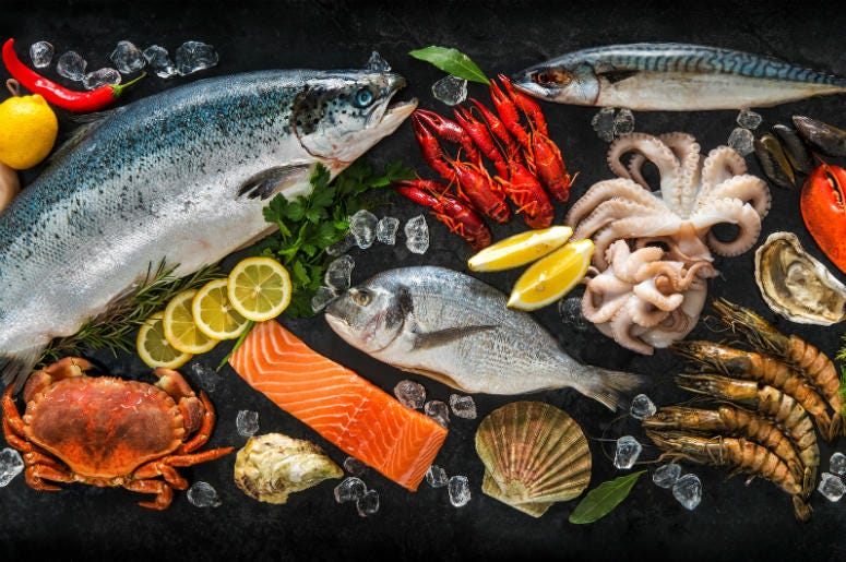 Fresh fish and seafood Fresh fish and seafood