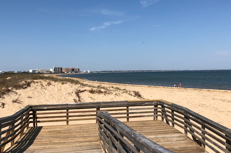 What A View! The Beach