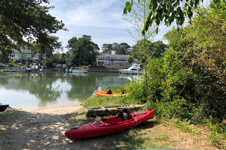 Summer Fun!