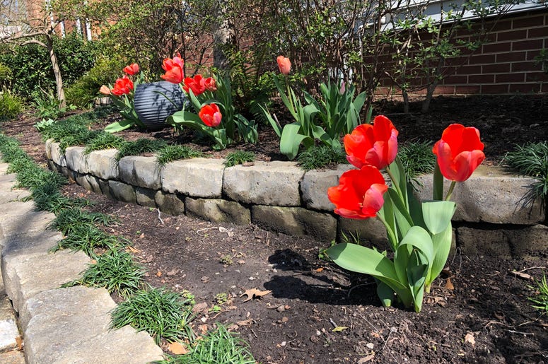 Spring has sprung!