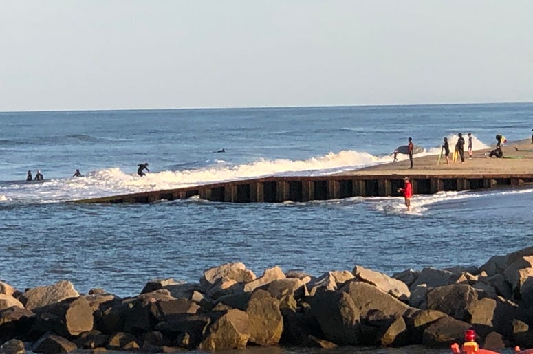 Surf's Up!