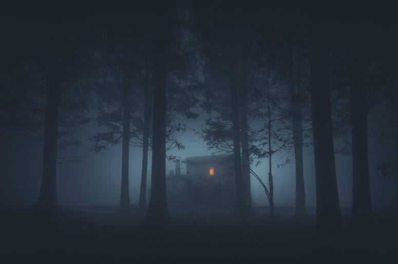Scary house in mysterious horror forest at night Scary house in mysterious horror forest at night