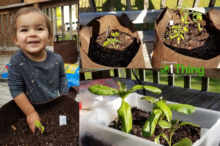 Container Gardening