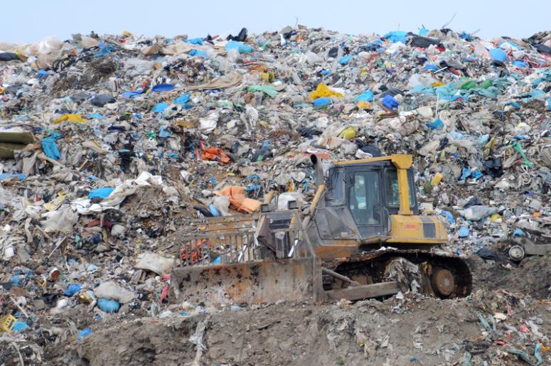 Trash Pile Trash Pile