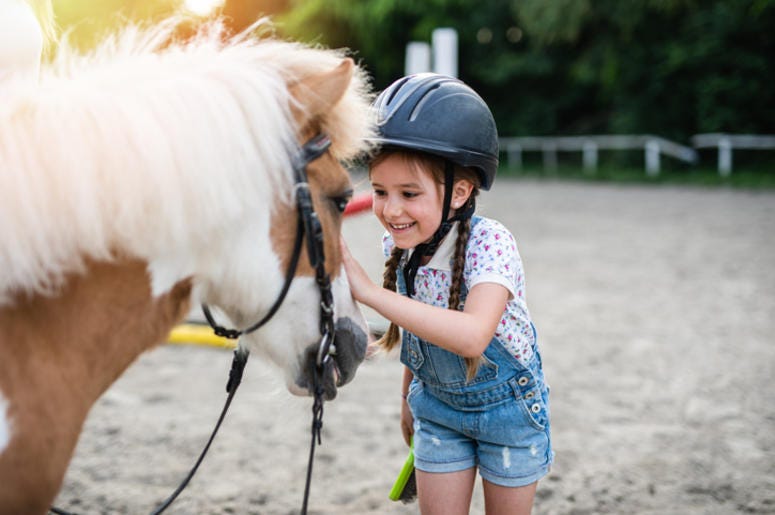 Pony