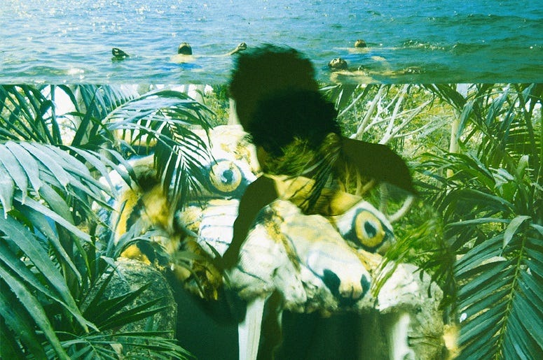 Local Natives Dark Days