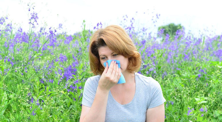6 tips to manage allergies naturally 6 tips to manage allergies naturally