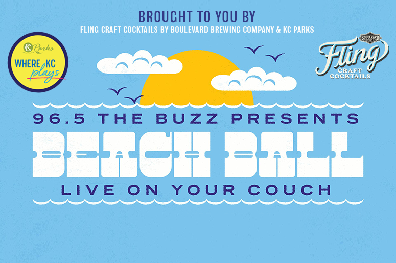 Virtual Buzz Beach Ball