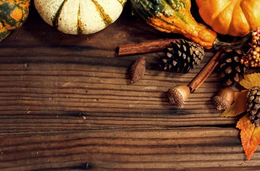 Fall Theme Fall Theme