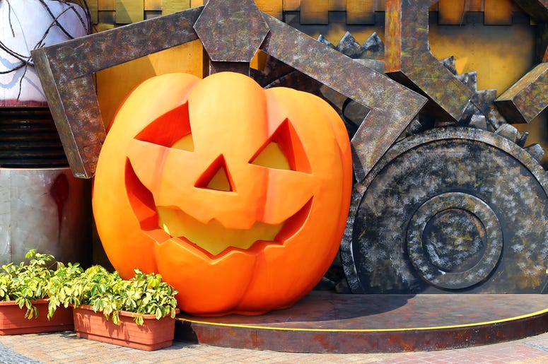 Pumpkin Pumpkin