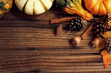 Fall Theme Fall Theme