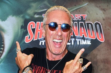 Dee Snider