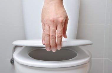 toilet