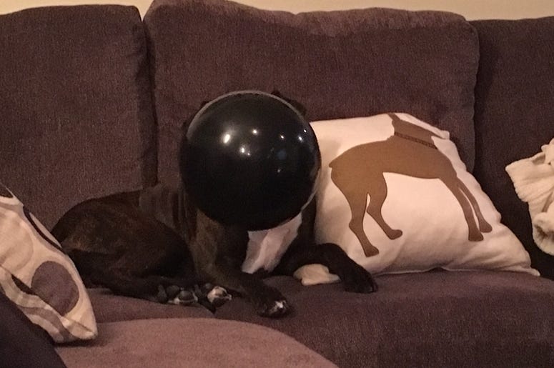 Mila loves her balloon Mila loves her balloon