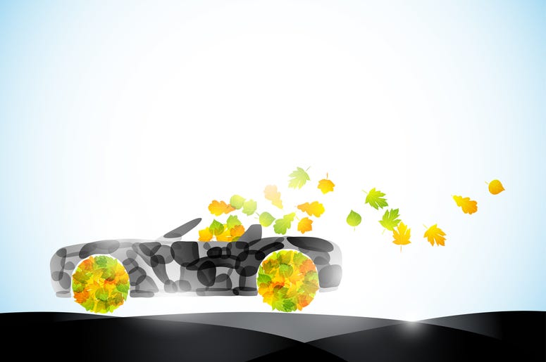Have A Sustainable Fall