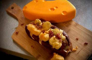 green bay dog