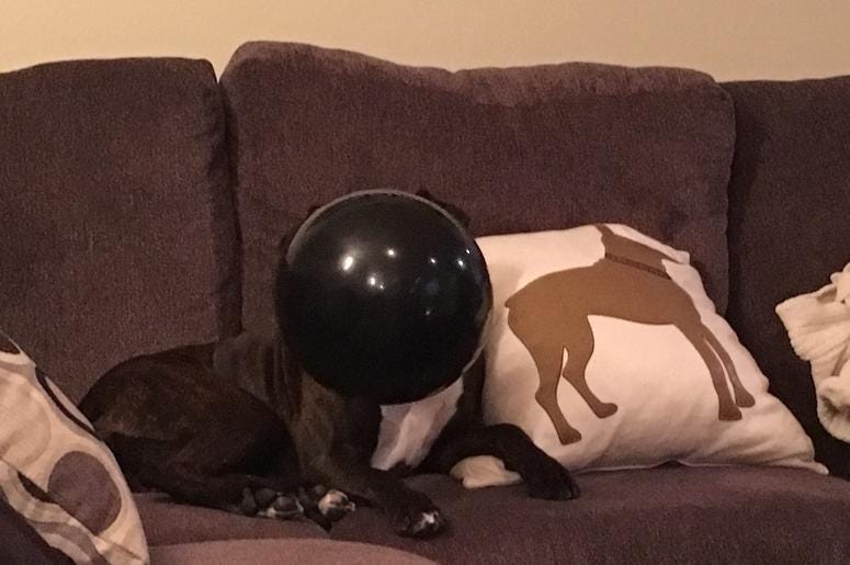 Mila loves her balloon Mila loves her balloon