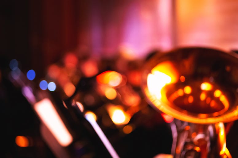 Orchestra Performs