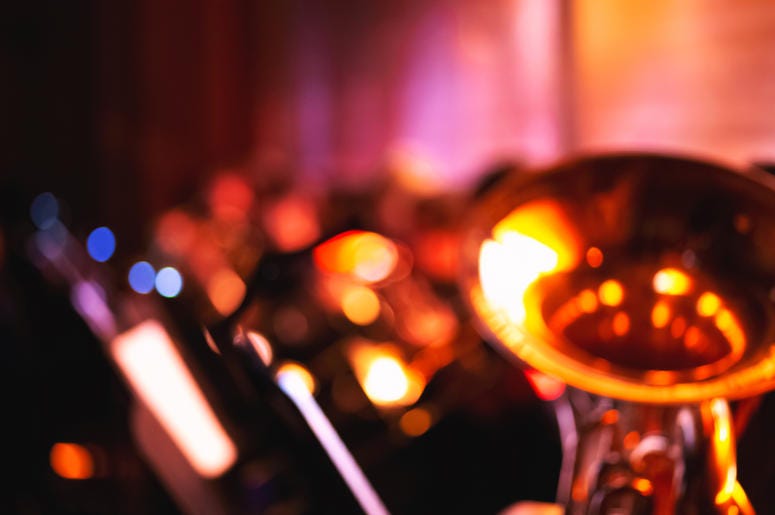 Orchestra Performs