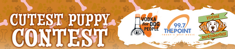 Tito's Cutest Puppy Contest Banner Tito's Cutest Puppy Contest Banner