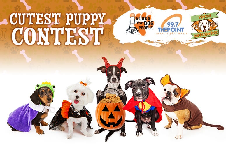 Cutest Puppy Contest Cutest Puppy Contest
