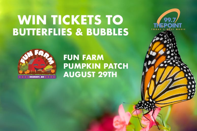 BUTTERFLIES & BUBBLES