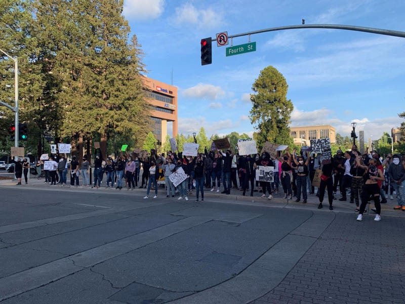 A group of protesters in Santa Rosa's courthouse square.