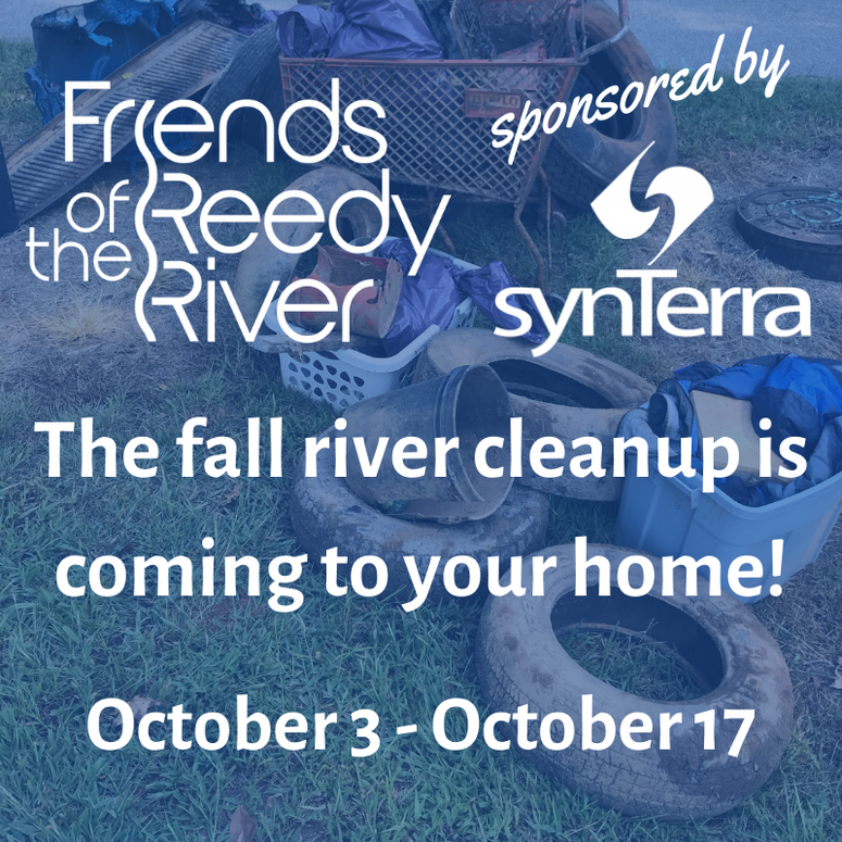 Fall clean up at home