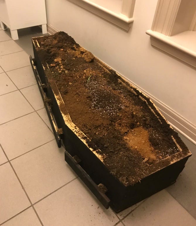Protesters in Asheville leave coffin in front of the municipal building