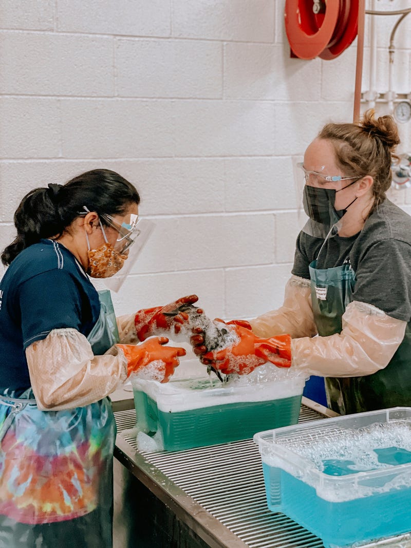 Oiled Wildlife Care Network/UC Davis School of Veterinary Medicine