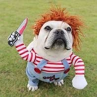 Chucky dog costume